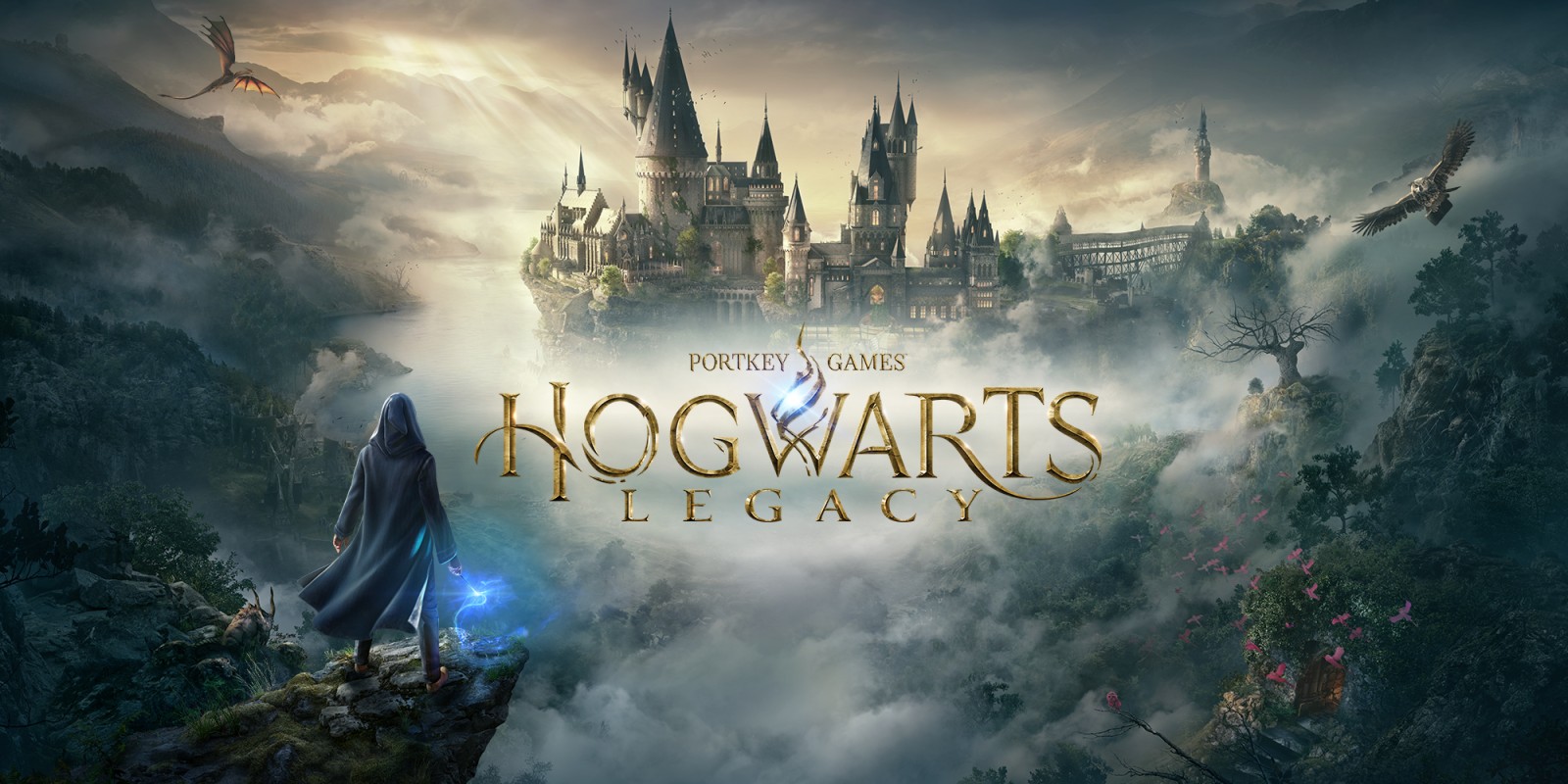 Le jeu vidéo Hogwarts Legacy - l'héritage de Poudlard aura une suite.
